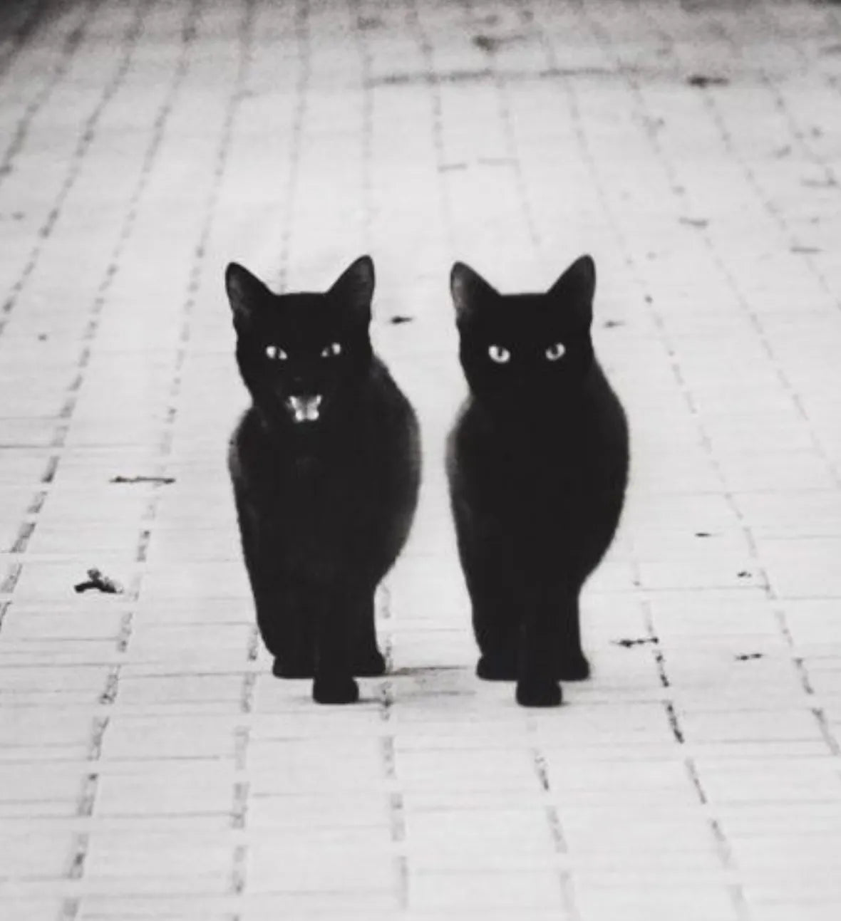 25 lesbian/queer artists