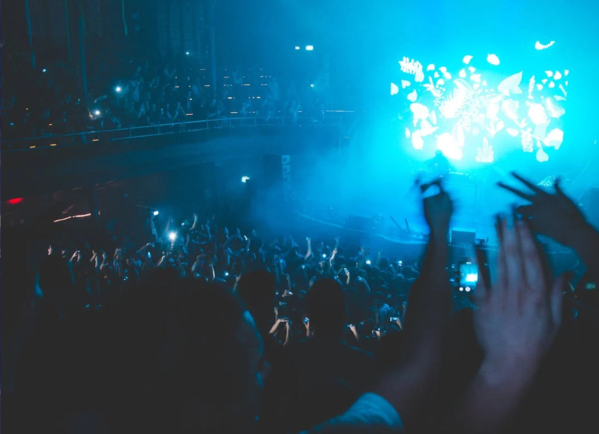 FF_Concert.jpg